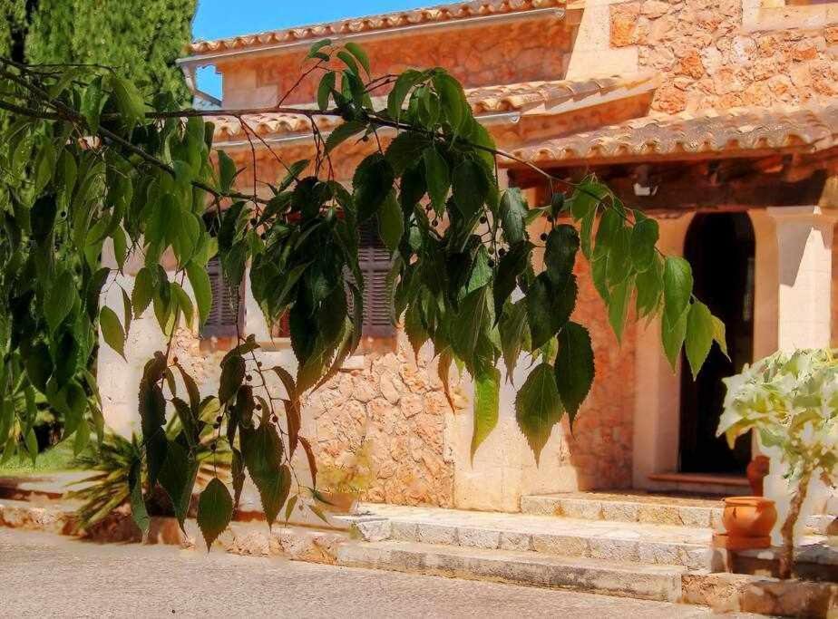 Ciclismo Y Golf Junto A La Playa Finca Son Sant Marti Gran Villa Muro Buitenkant foto